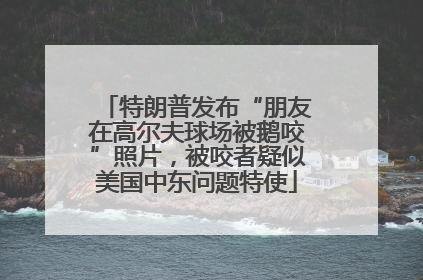 特朗普发布“朋友在高尔夫球场被鹅咬”照片，被咬者疑似美国中东问题特使